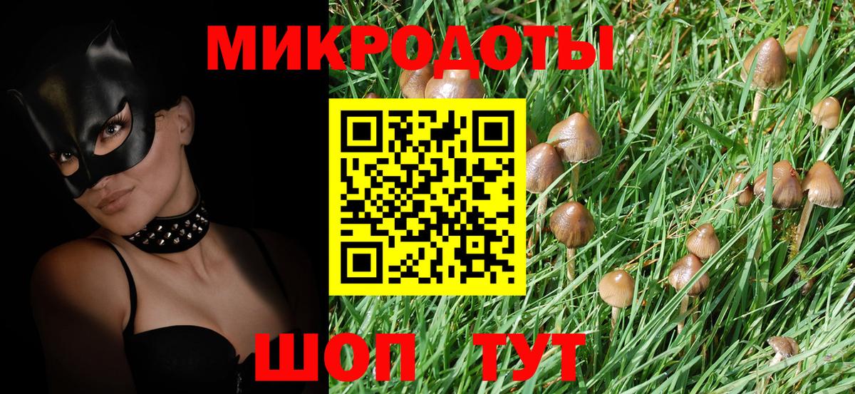 Псилоцибиновые грибы Psilocybe Красноармейск