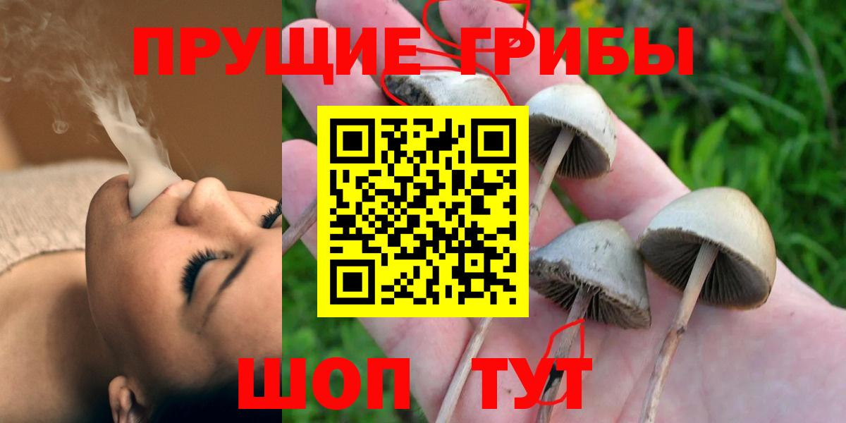 Галлюциногенные грибы Psilocybine cubensis  Вход с VPN  Красноармейск 
