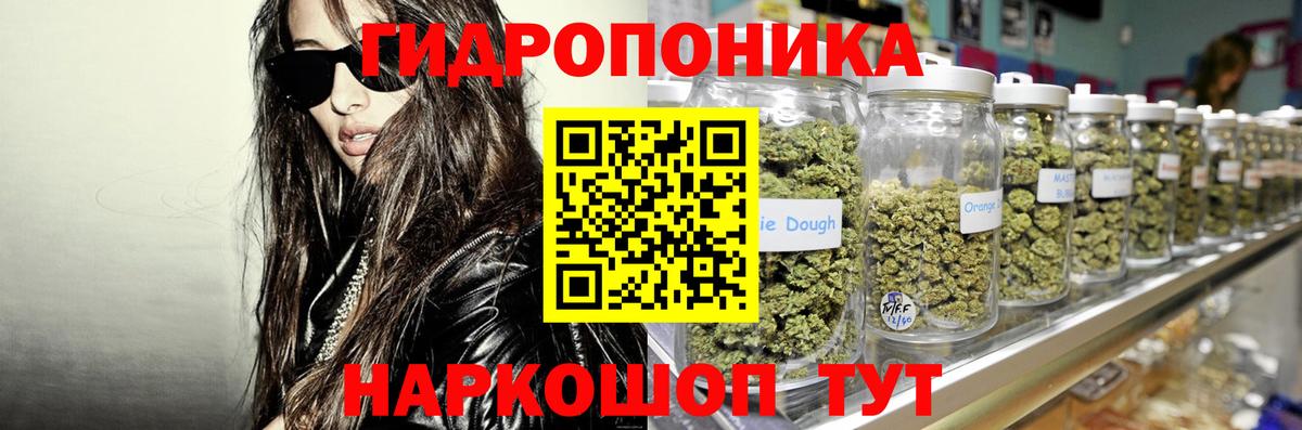 Шишки марихуана конопля Красноармейск